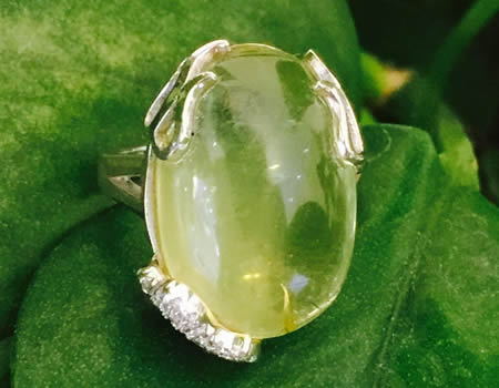925ư׽ָ