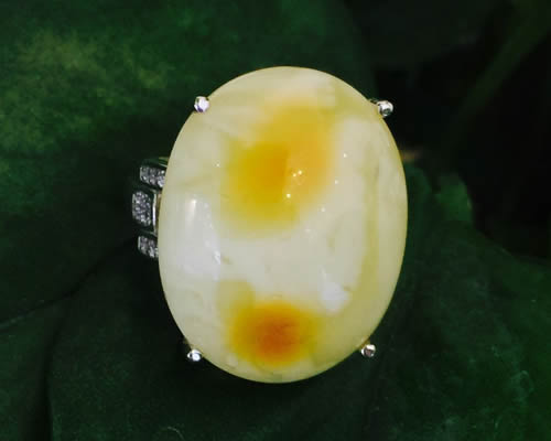 925ư׽ָ