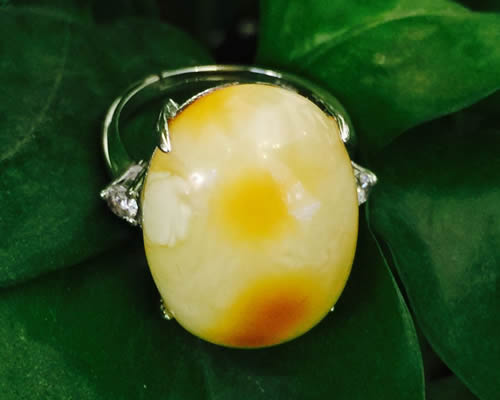 925ư׽ָ