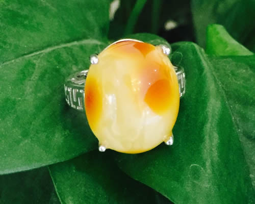 925ư׽ָ