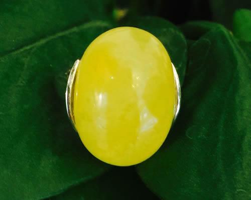925ư׽ָ