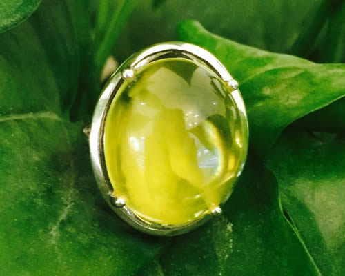 925ư׽ָ